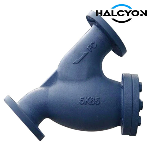 Marine Y Type Strainer